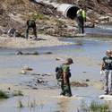 Search for the missing Landscaper