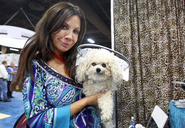 Muffin, a 12-year-old blind toy poodle wears a "Muffin's Halo" during SuperZoo, a trade show for the pet industry, at the Mandalay Bay Convention Center Tuesday, Sept. 11, 2012. Silvie Bordeaux developed the halo for blind and visually impaired dogs to safeguard them from bumping into walls and other objects.