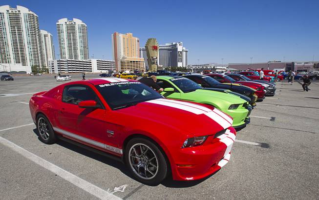 Late-model Shelby Mustangs are lined up before a classic car parade on the Strip on Wednesday, Sept. 19, 2012. The annual parade serves as a kick-off to the Barrett-Jackson Las Vegas auto auction at Mandalay Bay.