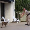 Animal Control Officer Darryl Duncan