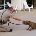 Animal Control Officer Darryl Duncan