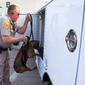 Animal Control Officer Darryl Duncan
