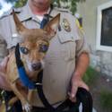 Animal Control Officer Darryl Duncan