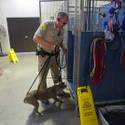 Animal Control Officer Darryl Duncan