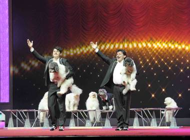 The Olate Dogs perform during “America’s Got Talent Live” at the Palazzo on Thursday, Sept. 27, 2012.

