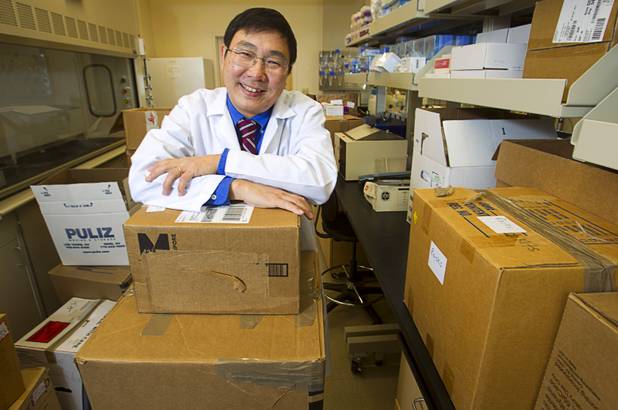 New UNLV professor Hui Zhang poses in a lab at UNLV Tuesday, Oct. 9, 2012. Hui, a molecular biologist, is still unpacking at UNLV after five years at the Nevada Cancer Institute.