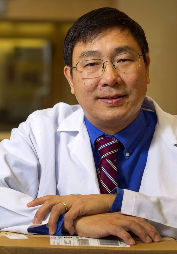 New UNLV professor Hui Zhang poses in a lab at UNLV Tuesday, Oct. 9, 2012. Hui, a molecular biologist, came to UNLV after five years at the Nevada Cancer Institute.