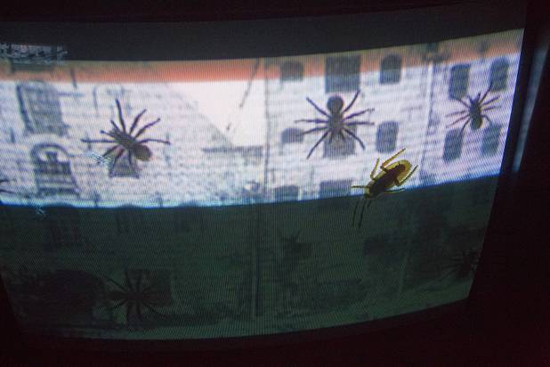 A cockroach appears to crawl on a television screen at the Amazing Jonathan's SCREAMont Experiment haunted hotel at the Las Vegas Club in downtown Las Vegas Thursday, Oct. 10, 2012. The haunted hotel is open nightly from 7 p.m. to midnight.
