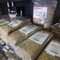 Vegas Homebrew & Winemaking