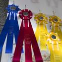 Vegas Homebrew & Winemaking