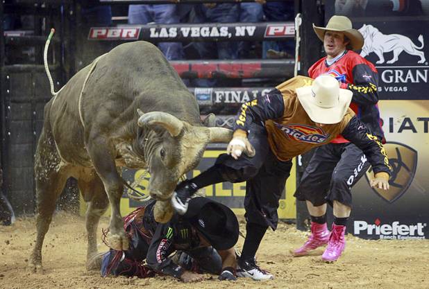 A bull butts bullfighter Frank Newsom during the Built Ford Tough Series Professional Bull Riders (PBR) World Finals at the Thomas & Mack Center Sunday, Oct. 28, 2012. Newsom was distracting the bull to protect Brazilian bull rider Robson Palermo. 