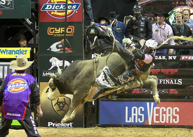 Ryan Dirteater of Hulbert, Okla. dismounts from his bull during the Built Ford Tough Series Professional Bull Riders (PBR) World Finals at the Thomas & Mack Center Sunday, Oct. 28, 2012.