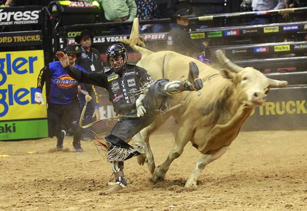 Chad Besplug of Canada dismounts from a bull during the Built Ford Tough Series Professional Bull Riders (PBR) World Finals at the Thomas & Mack Center Sunday, Oct. 28, 2012.