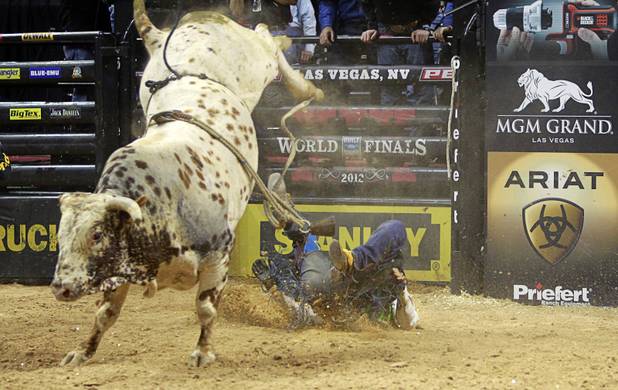 Caleb Sanderson of Kissimmee, Fla. is bucked off a bull during the Built Ford Tough Series Professional Bull Riders (PBR) World Finals at the Thomas & Mack Center Sunday, Oct. 28, 2012.