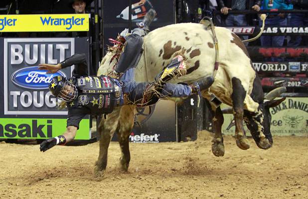 Valdiron de Oliveira of Brazil falls from a bull during the Built Ford Tough Series Professional Bull Riders (PBR) World Finals at the Thomas & Mack Center Sunday, Oct. 28, 2012.