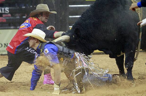 Bullfighter Shorty Gorham distracts a bull from Renato Nunes of Brazil during the Built Ford Tough Series Professional Bull Riders (PBR) World Finals at the Thomas & Mack Center Sunday, Oct. 28, 2012. Nunes was not seriously injured.