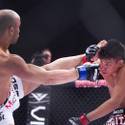 WSOF Undercards