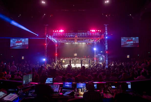 A view of the ten-sided cage used during the World Series of Fighting debut in the PH Live theater at Planet Hollywood Saturday, Nov. 3, 2012. The event was broadcast live on the NBC Sports Network.