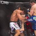 WSOF Undercards