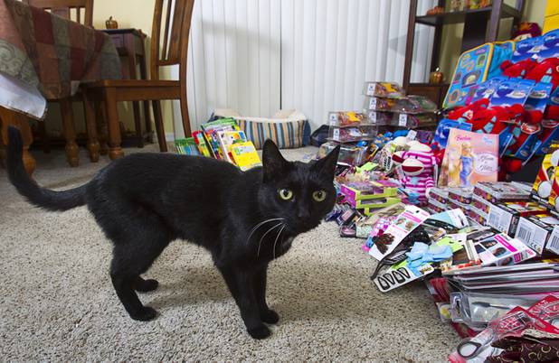 Princess looks over toys at Susan England's home Sunday, Nov. 4, 2012. England made a New Year's resolution to collect 100 toys for $100 to donate to the Toys For Tots charity. Then, after she reached the goal, she just kept on going she said.