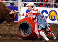 Rodeo clown/barrelman CrAsh Cooper helps a bull rider get out of a tight spot.