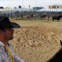 NFR Livestock