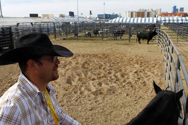Luke Hutchison is shown after taking a bull to an exercise area at the National Finals Rodeo livestock area on UNLV campus Tuesday, December 4, 2012.
