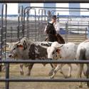 NFR Livestock