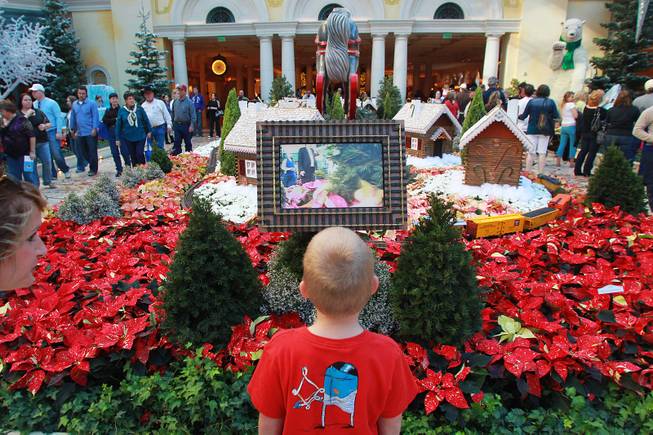 A young boy watches a live video from a toy train in the holiday display at the Bellagio Conservatory & Botanical Garden Friday, Dec. 7, 2012.