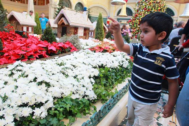 Dhruv Shastry from Washington, D.C. watches a toy train at the holiday display in the Bellagio Conservatory & Botanical Garden Friday, Dec. 7, 2012.