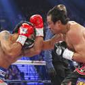 Marquez Knocks Out Pacquiao