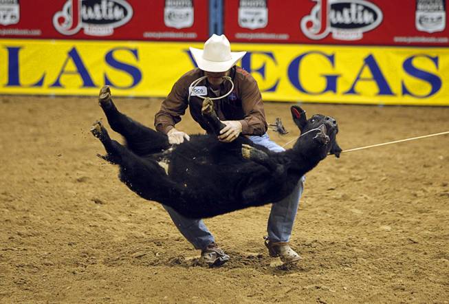 Tie-down roper Adam Gray of Seymour, Texas flips his calf during the fourth go-round of the Wrangler National Finals Rodeo at the Thomas & Mack Center Sunday, Dec. 9, 2012. The NFR continues through Saturday.