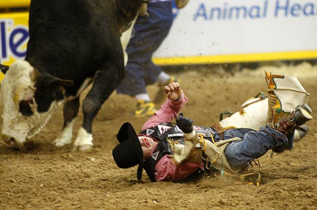 Bull rider Cody Samora of Cortez, Colo. hits the ground after being bucked off his bull during the fourth go-round of the Wrangler National Finals Rodeo at the Thomas & Mack Center Sunday, Dec. 9, 2012. The NFR continues through Saturday.