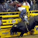2012 NFR: 4th Go-Round