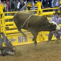 2012 NFR: 4th Go-Round