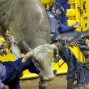 2012 NFR: 4th Go-Round