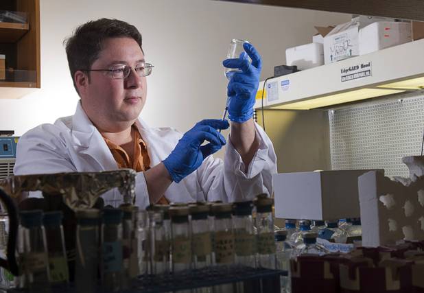 Duane Moser, a microbial and molecular ecologist at the Desert Research Institute, is shown in his lab at DRI Monday, Dec. 10, 2012. Moser is part of a team of researchers that just received a $6.6 million NASA grant to explore life underground.