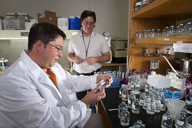 Duane Moser, left, a microbial and molecular ecologist, and Scott Hamilton-Brehm, a microbial biochemist, look over bottles containing bacteria cultures at the Desert Research Institute Monday, Dec. 10, 2012. Moser is part of a team of researchers that just received a $6.6 million NASA grant to explore life underground.