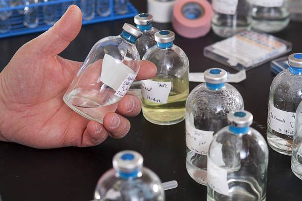 Duane Moser, left, a microbial and molecular ecologist, holds a bottle containing a bacteria culture in his lab at the Desert Research Institute Monday, Dec. 10, 2012. Moser is part of a team of researchers that just received a $6.6 million NASA grant to explore life underground.
