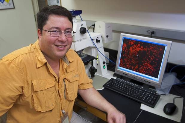 Duane Moser, a microbial and molecular ecologist at the Desert Research Institute, displays a magnified image of bacteria from Walker Lake (Nevada) in his lab at DRI Monday, Dec. 10, 2012. Moser is part of a team of researchers that just received a $6.6 million NASA grant to explore life underground. 