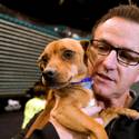 5th Annual MGM Pet Adoption Fair