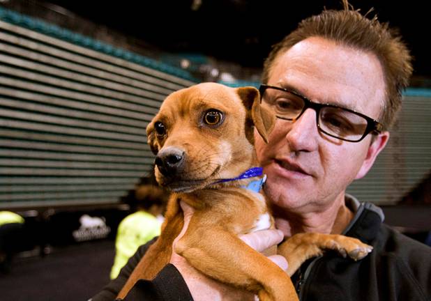 Scott Sibella, president and COO of MGM Grand, holds Pancho, a male Chihuahua mix, during the 5th annual Charlie's Angels Pet Adoption Fair at the MGM Grand Garden Arena Monday, Dec. 11, 2012. Sibella, New York-New York President/COO Cynthia Kiser-Murphey, and MGM Resorts COO Corey Sanders picked up the adoption costs for the employees.