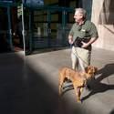 5th Annual MGM Pet Adoption Fair