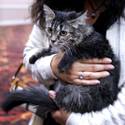 5th Annual MGM Pet Adoption Fair