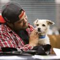 5th Annual MGM Pet Adoption Fair