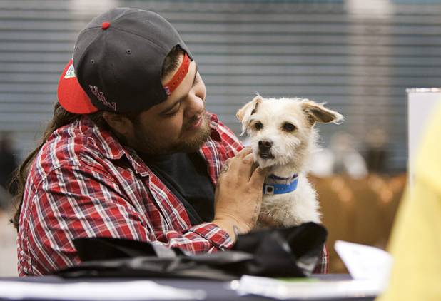 Jacob Trujillo holds Rascal, a 3-year-old terrier mix, during the 5th annual Charlie's Angels Pet Adoption Fair at the MGM Grand Garden Arena Monday, Dec. 11, 2012. Trujillo and and his girlfriend, an MGM Grand employee, adopted the dog.