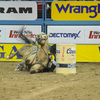 Barrel racer Sherry Cervi and her horse, Stingray, fall during competition Tuesday at the Wrangler National Finals Rodeo in Las Vegas. Photos courtesy of Hubbell Rodeo Photos.