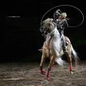 2012 NFR: Final Night