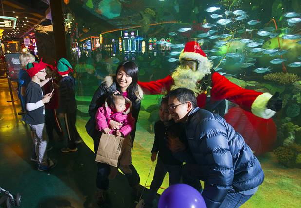 A family poses for a photo with an underwater Santa in the 117,000-gallon aquarium at the Silverton Sunday, Dec. 23, 2012. Santa took Christmas present requests from children using an underwater microphone. 
