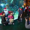 Underwater Santa at the Silverton